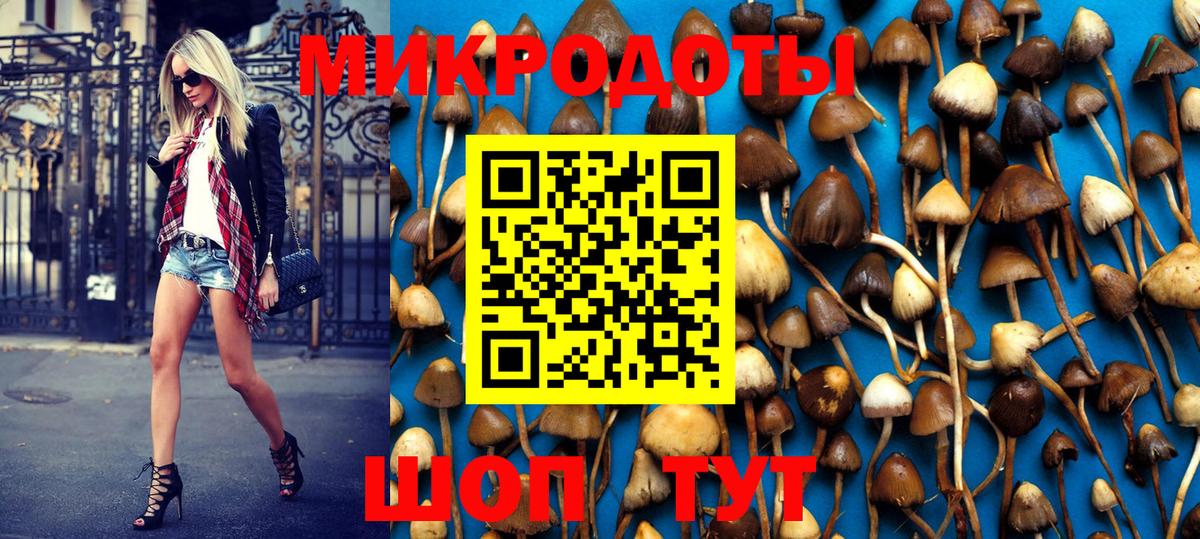 Коломна  Псилоцибиновые грибы Psilocybe  купить  цена  Вход с VPN 