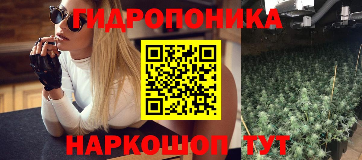 Бошки марихуана планчик  Вход с VPN  Конопля VHQ  Бошки марихуана Bruce Banner  Коломна 
